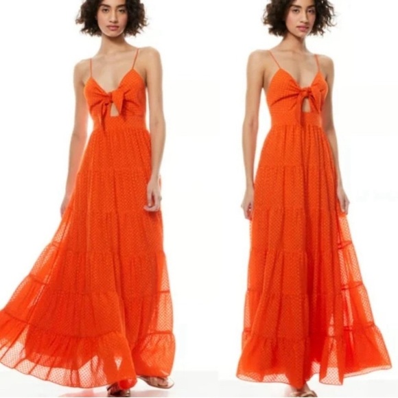 alice + oliva | Minka Tie Front Monarch Orange Tiered Maxi Dress - Picture 5 of 16